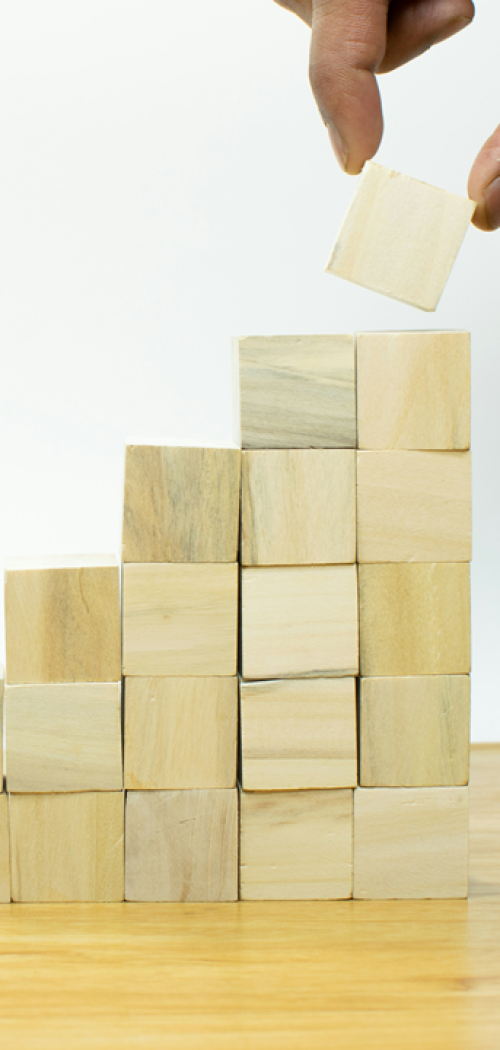 Business Growth - Virid